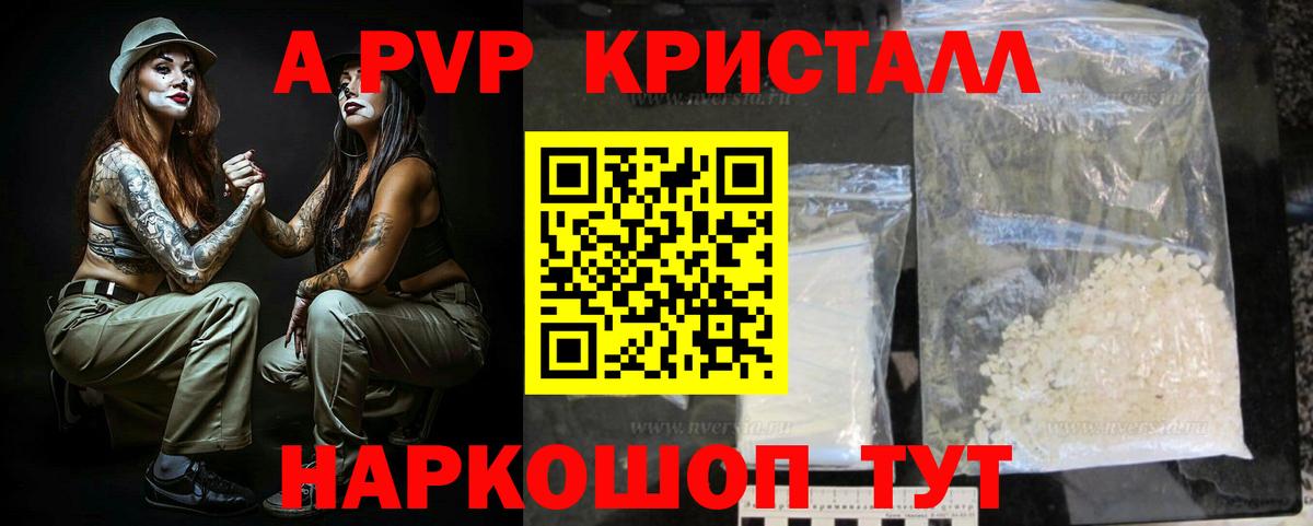 A-PVP СК КРИС Воркута
