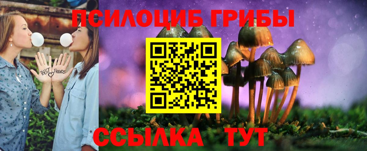 Галлюциногенные грибы Magic Shrooms  Галлюциногенные грибы GOLDEN TEACHER  Вход с VPN  Воркута 